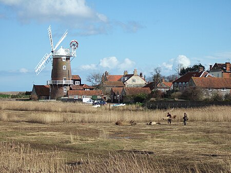 Windmill Reed beds Cley