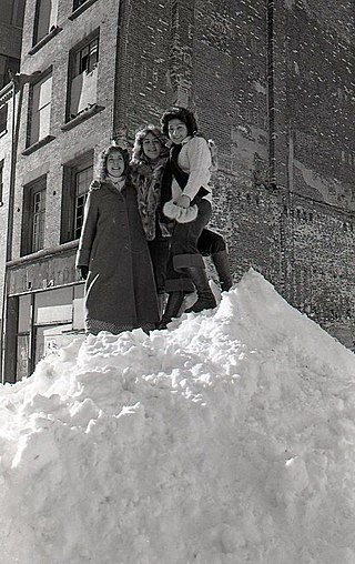 <span class="mw-page-title-main">Snowdrift</span> Snow deposit sculpted by wind into a mound during a snowstorm
