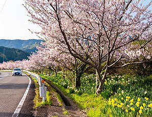 山口町白池