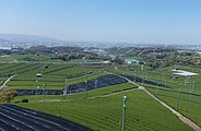 Plantations in Yame, Fukuoka Prefecture