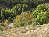 Čeština: Pod rabštejnským zámkem. Okres Plzeň-sever, Česká republika.