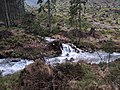 Zadná voda, přítok Demänovky, Nízké Tatry 8.jpg
