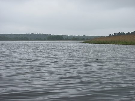 Zotzensee Nordwestufer.nnw