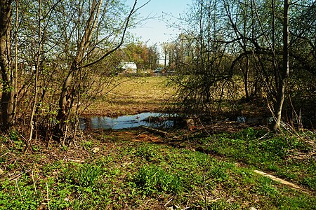 Река Зуёвка у границы старого Землино (вид от СНТ "Дворики")