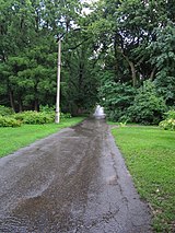 Ботанічний сад ім. І.Фоміна - аллея в дощ.JPG
