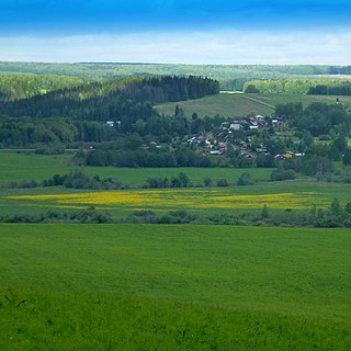 Nytvensky District District in Perm Krai, Russia