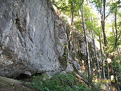 Скельний масив «Молочний Камінь»