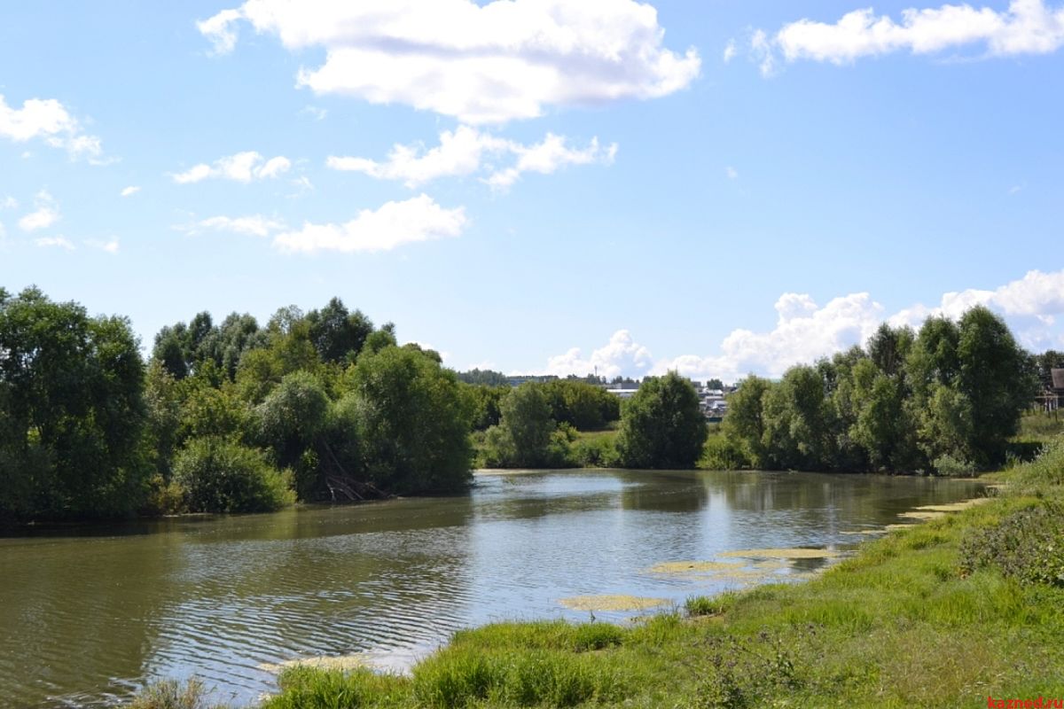 Рыбно-Слободский район — Википедия