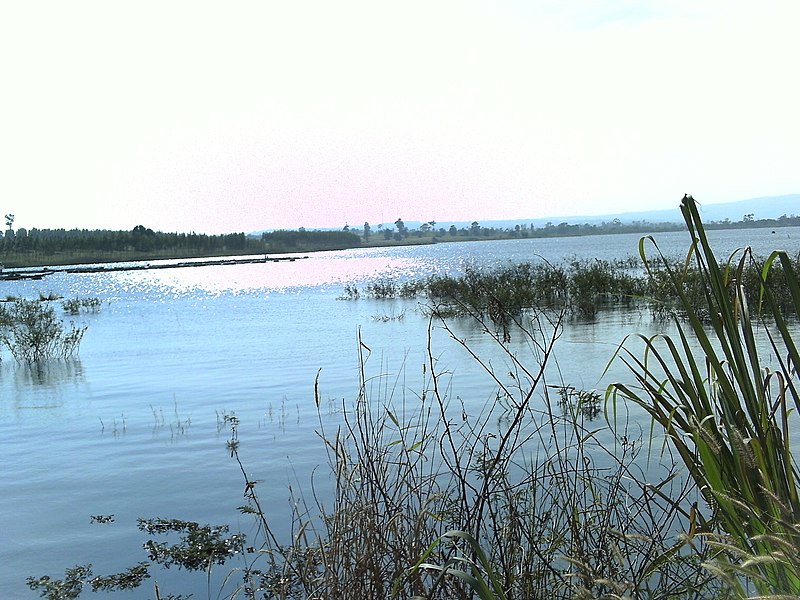 File:เขื่อนลำปะทาว - panoramio.jpg