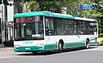 新北市區公車橘19路線的缩略图