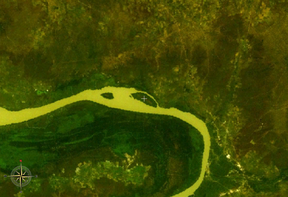 NASA-World-Wind-Satellitenbild: Der Gambia fließt im Bildausschnitt Richtung Westen. Der Gassang Forest Park liegt auf der Fluss-Nordseite im Knick nach Westen.