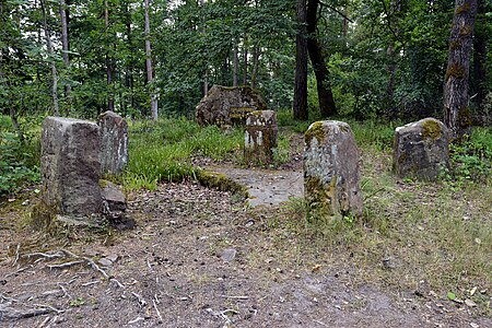 150712 Steigerkopf 04