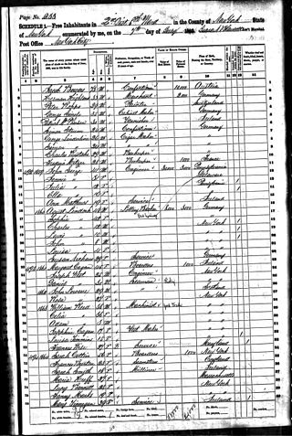 <span class="mw-page-title-main">1860 United States census</span> Eighth US census