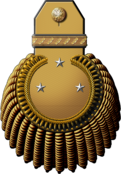 Lieutenant-général de flotte