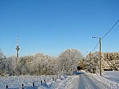 Конец улицы Вабаыхукооли