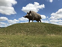 2017-07-04 Woinic - The worlds largest boar 3.jpg