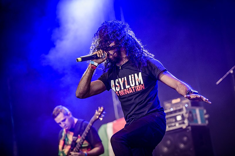 File:20180801 Wacken Wacken Open Air Asylum 0029.jpg