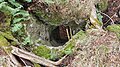 2020-03-01 Small cave next to Schwabeck's former castle, Texingtal