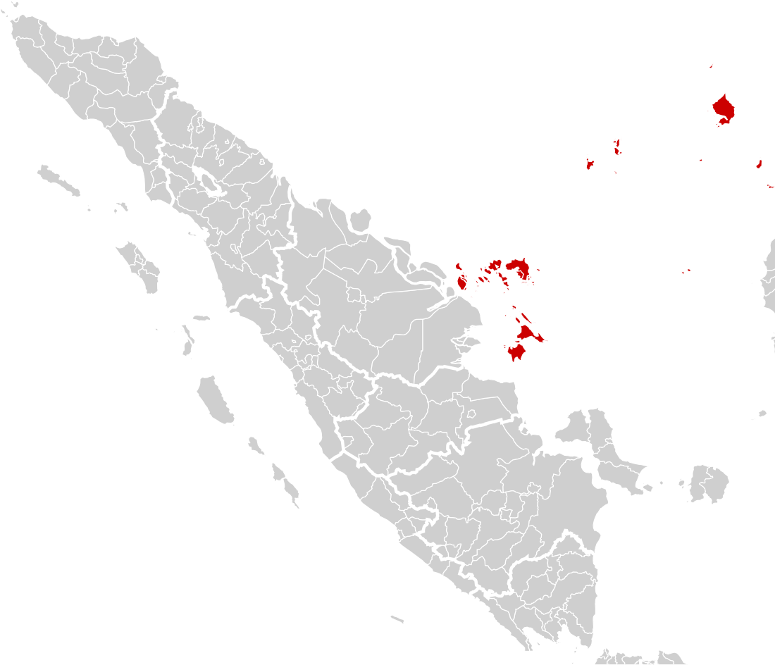 Kepulauan Riau (daerah pemilihan)