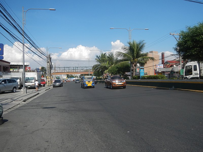 File:2387Elpidio Quirino Avenue NAIA Road 32.jpg