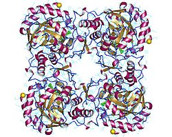 GMP reductase