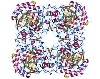 <span class="mw-page-title-main">GMP reductase</span>