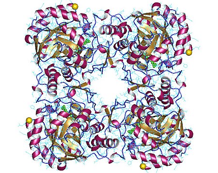 GMP_reductase