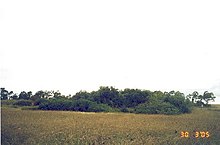 345 - Үкімет қоймасының сайты (бұрынғы) - Дунсмор көшесінен оңтүстікке қарай Руту төбешікке қарайтын учаске, үй учаскесі өсімдіктермен жабылған (5045415b4) .jpg