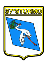 37 ° Stormo-Patch.png