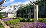 Jardin de la Bibliothèque.