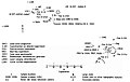 A15 PSR Fig 5-52 Planimetric map LM-ALSEP-Station 8.jpg