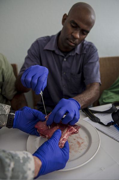 File:A Royal Saint Lucia Police Force narcotics detective receives emergency tactical medical training during Tradewinds 2013 in Castries, Saint Lucia, May 23, 2013 130523-N-KL795-557.jpg