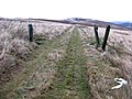 osmwiki:File:A grass track at Quarry Knowe - geograph.org.uk - 650854.jpg