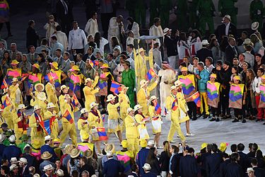 A scene from the Rio 2016 Olympic Games Opening Ceremony (28210389354).jpg