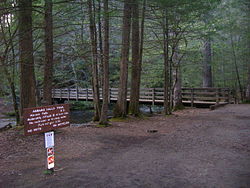 Abrams Falls Trailhead.JPG