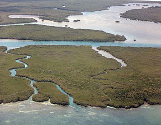 <span class="mw-page-title-main">Rubicon Keys</span> Two small islands north of the upper Florida Keys in Biscayne National Park