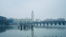 After snow - International Campus, Zhejiang University.png