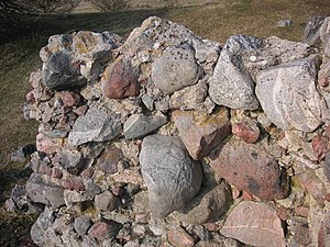 Alsnö hus, murrester