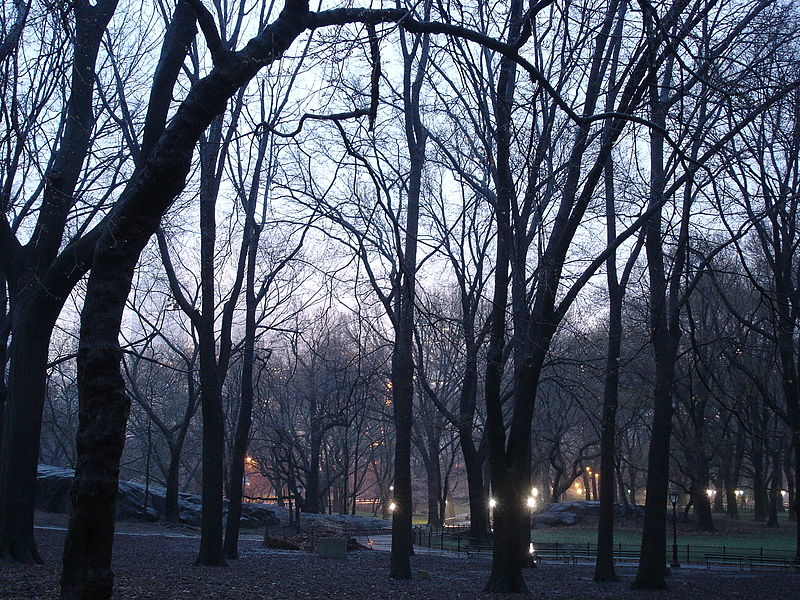 File:Anochecer en Central Park.JPG