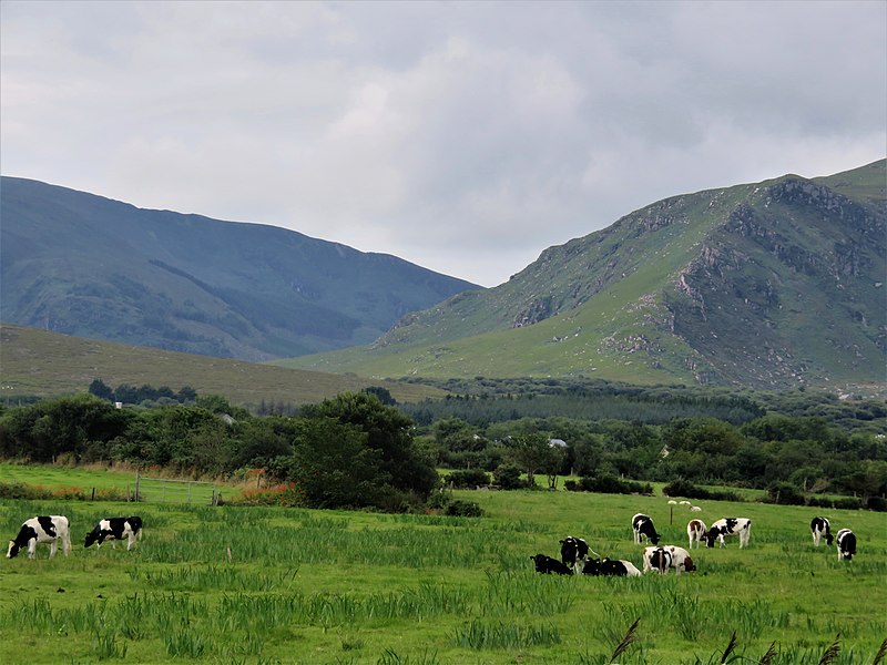 File:Arraglen-8080, Dingle Peninsula, Co. Kerry, Ireland.jpg