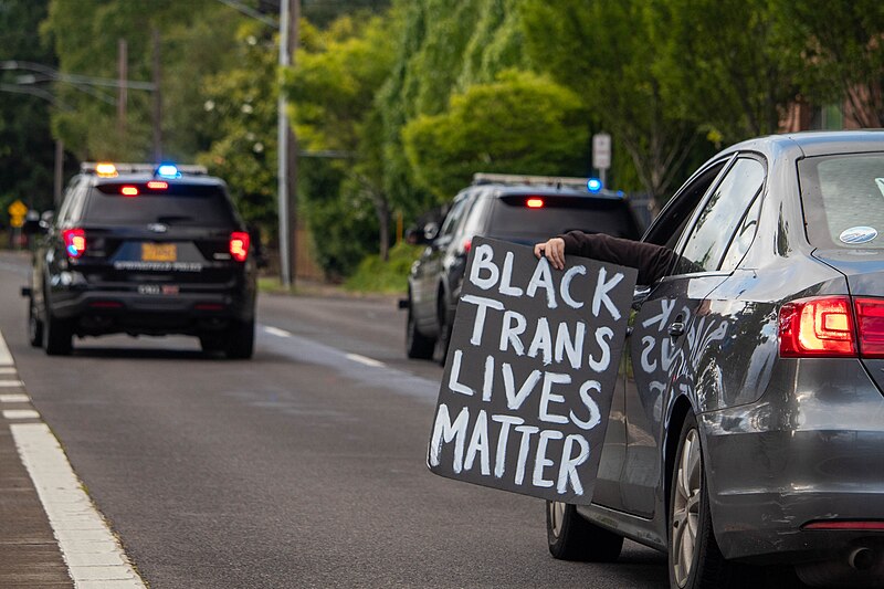 File:BLM March, Springfield, Oregon - 49980653708.jpg