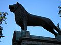 Dieser Löwe steht vor dem Lübecker Dom. Er ist ein Symbol für Heinrich den Löwen, einen wichtigen Stadtvater Lübecks. In anderen "Löwenstädten" steht auch so eine Statue.