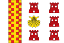 Vlag van Begonte