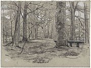 Bench in a forest