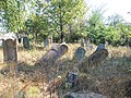 Zsidó temető