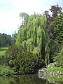 Bergpark Wilhelmshöhe, Germany (2020)