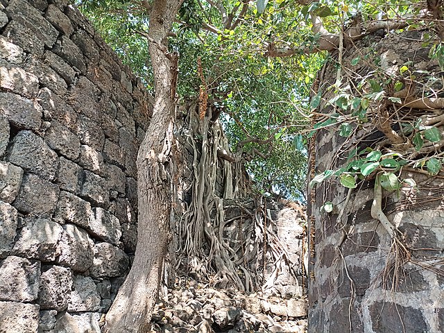 Bhavangad Fort Walls