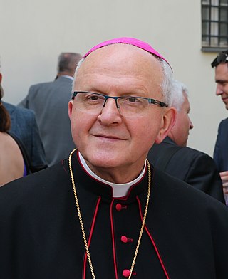 The Roman Catholic Bishop of Litoměřice Jan Baxant wearing a cassock, a zucchetto and a clerical collar