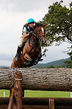 Překážky V Jezdeckém Sportu: Parkur, Steeplechase, Cross-Country