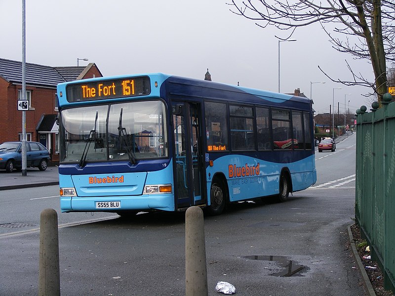 File:Bluebird bus 19.jpg